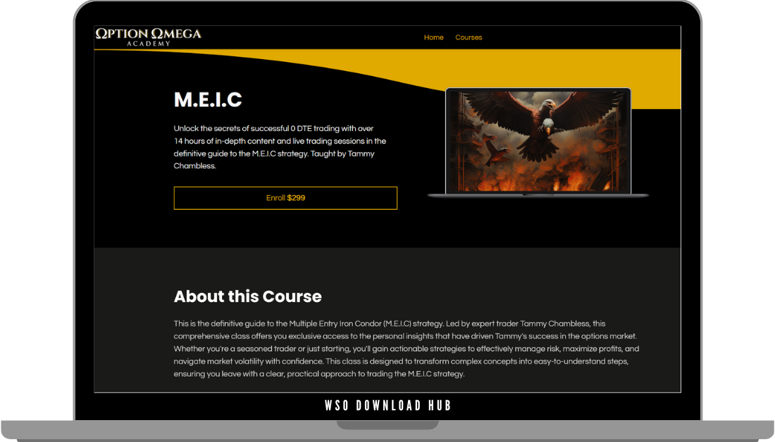 Option Omega Academy – Multiple Entry Iron Condor Download