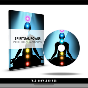 David Snyder – Spiritual Power Into To Energy Healing Download