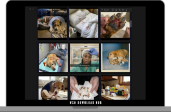 Satish Prajapati – Native Ads Download