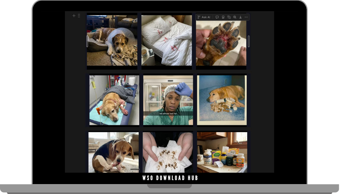 Satish Prajapati – Native Ads Download