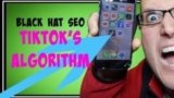 [VIP DOWNLOAD] Chris Palmer – TikTok SEO How to Rank TikTok Videos