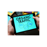 [VIP DOWNLOAD] Organic Acceleration – How I turned $20 to 7 figs with Organic Traffic