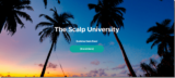 [VIP DOWNLOAD] The Scalp University